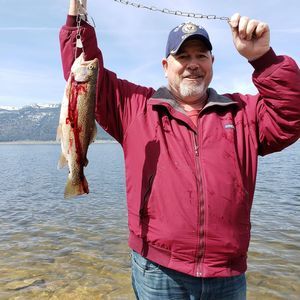 Meet your Posher, Steve